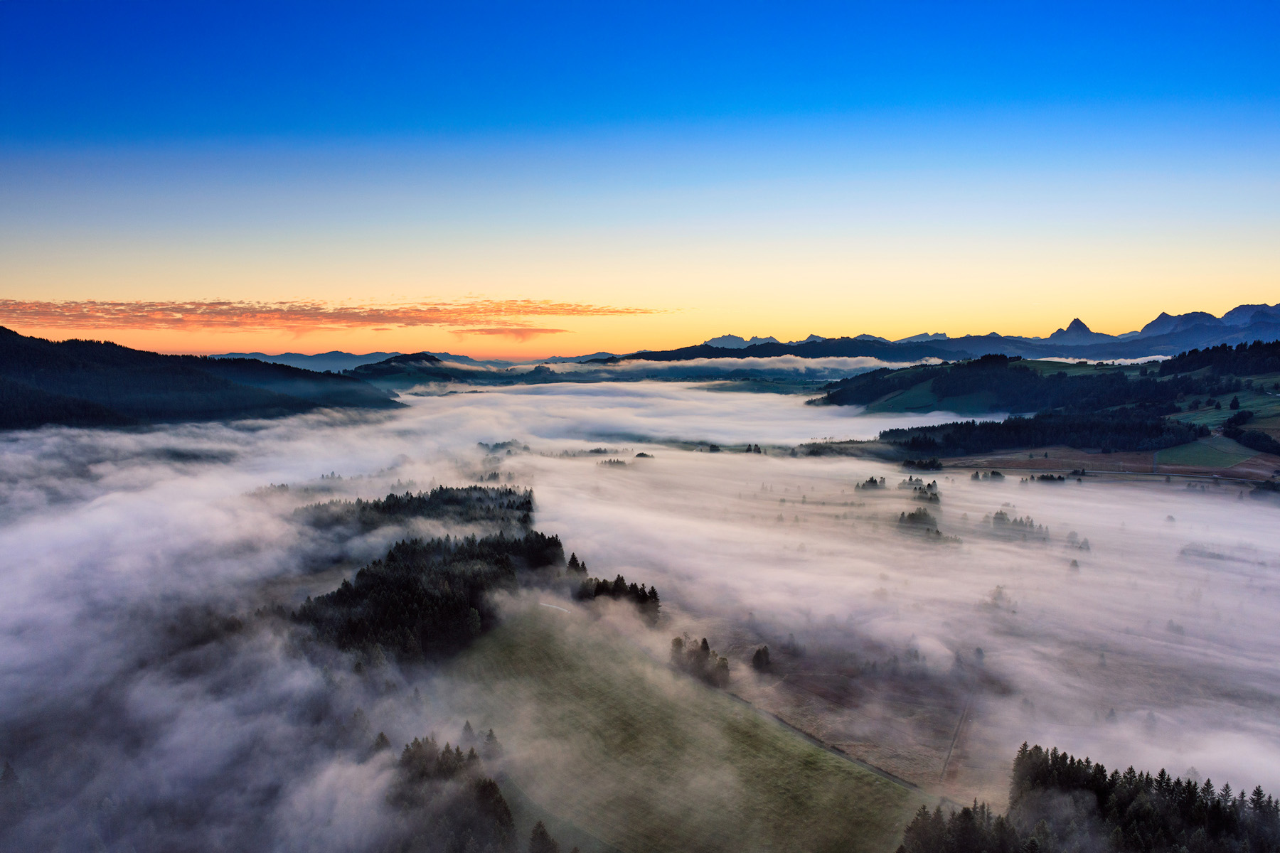 Rothenthurm Moor DS 1552 3 2 Gerry Pacher V2